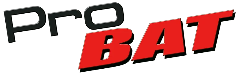 PROBAT – Entreprise générale du bâtiment à Issoire – Menuiserie – Couverture – Zinguerie – Fintition intérieure Logo